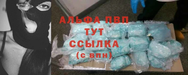 гашик Арсеньев