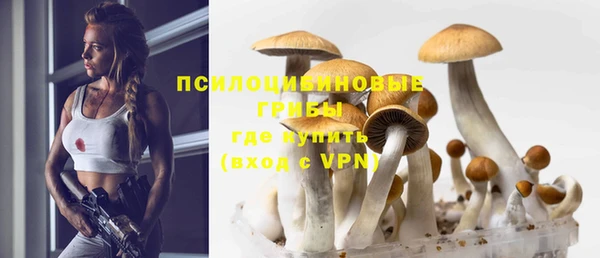 прущая мука Инсар