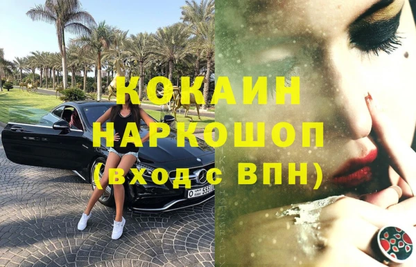 гашик Арсеньев