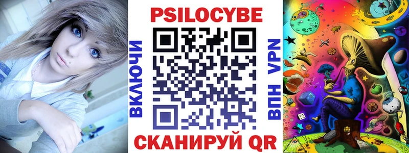 кракен рабочий сайт  Гвардейск  Псилоцибиновые грибы мухоморы  закладки 