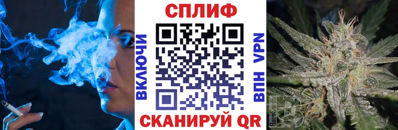 Бошки Шишки Amnesia  купить наркотики цена  ссылка на мегу ONION  Гвардейск 